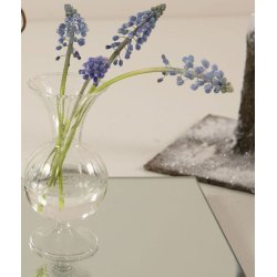 Elke glasvase - drbe eller rund